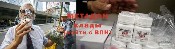 прущие грибы Волосово