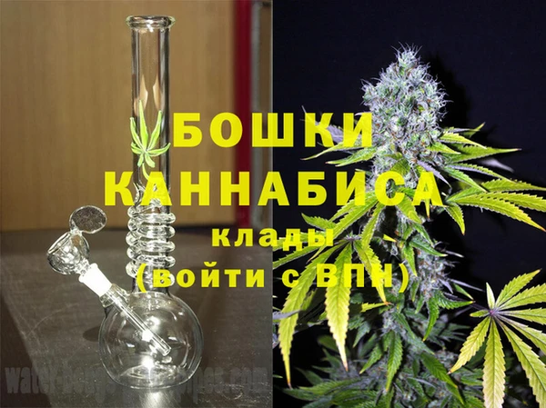 прущие грибы Волосово