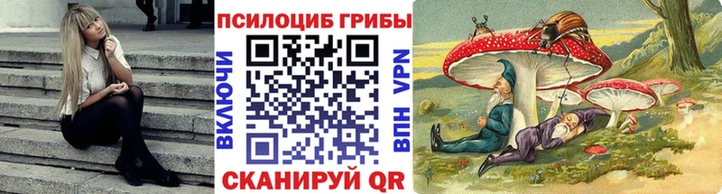 Псилоцибиновые грибы Magic Shrooms  Закаменск 